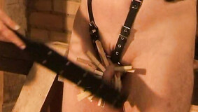 waxplay