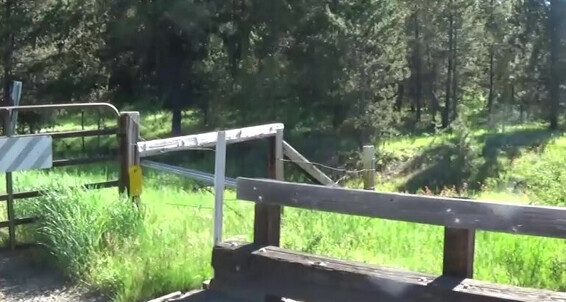 Fucked a plumper in nature and cum in her hollow