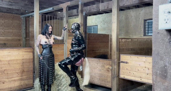 Mistress Damazonia Turned My Slave Into A Rubber Pony Who Wants To See How I Train Him