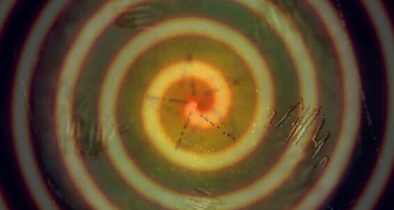 Mental Domination,Mesmerize,Mind Fuck,Slave training sophieshox mindfuck part 7 ManyVids