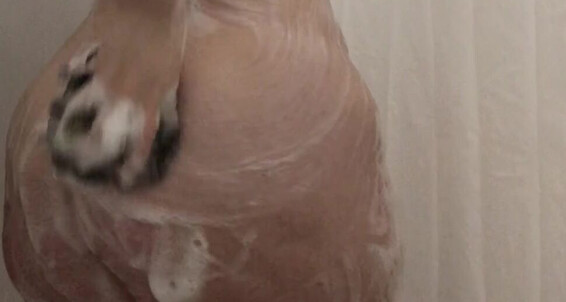 Sweeet V 246201531 04 19 2020 I Have Too Much Fun In The Shower