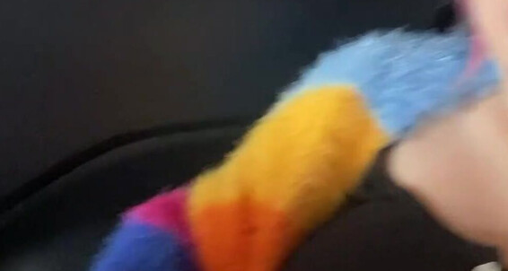 Lilyann Vip 2667673676 11 04 2022 Masturbating In The Moving Car The Tension Of Maybe Being Caught Makes Me So Horny