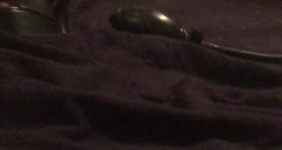 Pregnant, Dildo Sucking, 18 & 19 Yrs Old, Dildo Fucking, School Girl submissive whore lonely horny pregnat wife ManyVids