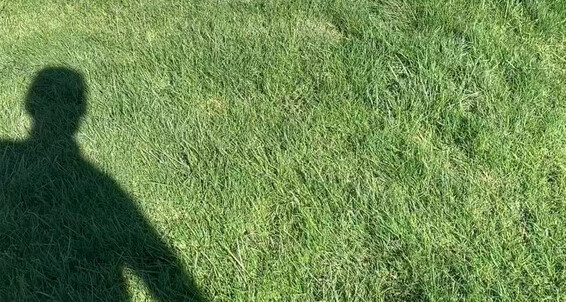 Xosashamonroe 2619624402 09 28 2022 Lmao Neighbor Took A Video Of Me Staying Cool Sitting In My Yard Watering Myself More
