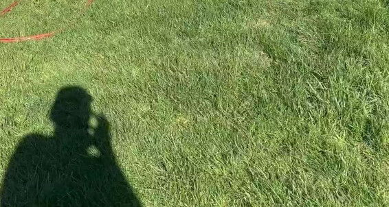 Xosashamonroe 2619624402 09 28 2022 Lmao Neighbor Took A Video Of Me Staying Cool Sitting In My Yard Watering Myself More