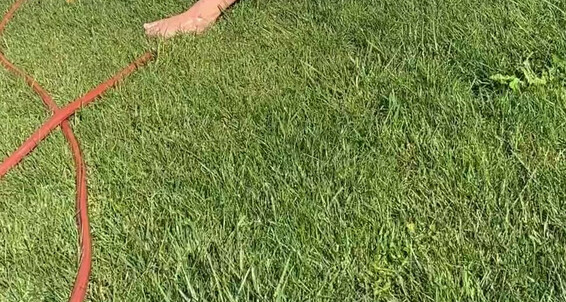 Xosashamonroe 2619624402 09 28 2022 Lmao Neighbor Took A Video Of Me Staying Cool Sitting In My Yard Watering Myself More