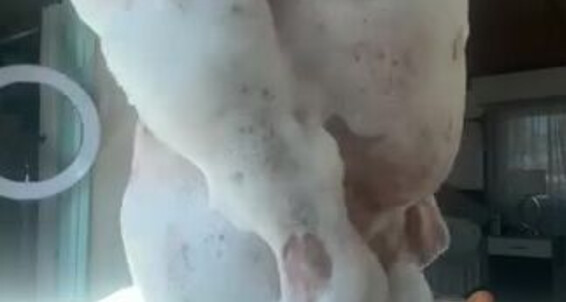 Xosashamonroe 3451292180 08 21 2024 Naked Spa Time