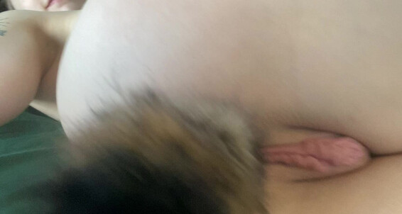 Sunnyandraven 2021 01 18 2011416292 The Prettiest Fox You Ve Ever Seen