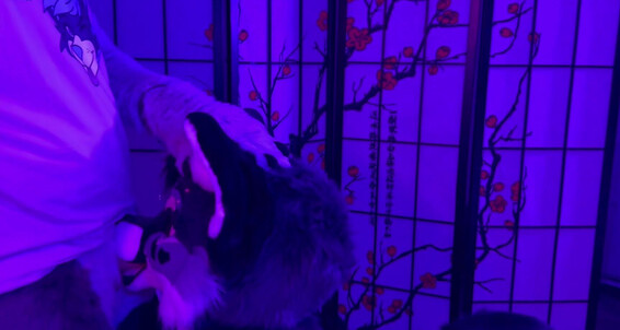 Angel Pups 1125461462 Raven Knew What She Wanted She Had No Problem Pulling Storm 01 0Hqu4Yt8Ao6Qcyzfjrwpi Source