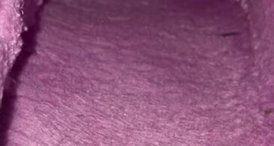Miss Demi Dee Nicknamed Missdemidee123 Onlyfans Squashed Down To Nothing But A Tiny Little Irrelevant Piece Of Dirt Who Lives In The Corner