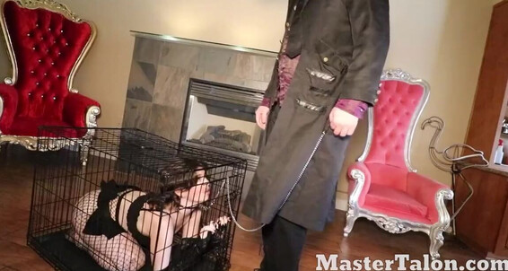 Master Talon Nicknamed Master Talon 09 18 2024 Onlyfans Video Teaching My Pet A Lesson She Wont Forget