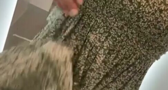 Bra & Panties, Miniskirts, Pussy Teasing, Striptease, Upskirt cum-in-the-change-room-with-me ManyVids