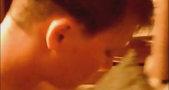Manyvids, AppiAmericanPrincess, BBC, Breeding, Bulls, Cream Pie, Cuckolding appiamericanprincess bbc cuckolding breeding Amateur