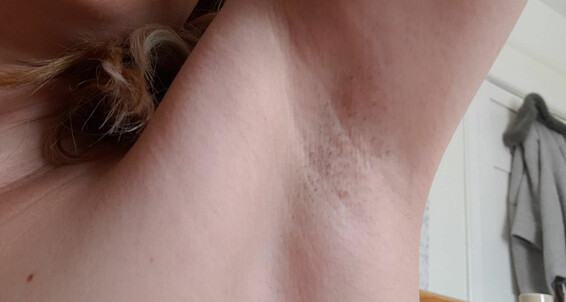 Sydneyharwin You Will Lick My Armpits