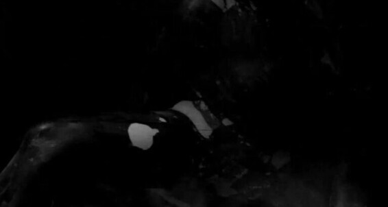 Aliens & Monsters, Body Painting, Squirt, Squirting alexisblake xenomorph insemination ManyVids