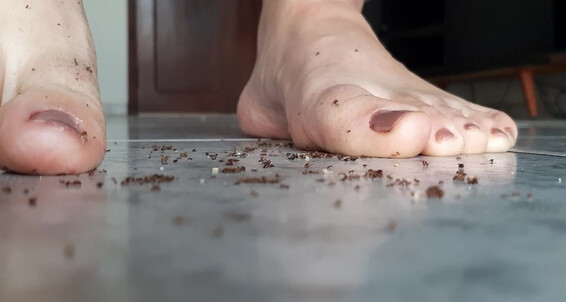 feet, giantess view, arabic, domination, barefoot, crush, giantess, big feet, bugs, ants, food & object crush, bbw female domination, ants crush Ants crush by Hajar Clips4Sale