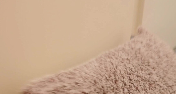Kay Dark Painal From Moms Big Hard Dick