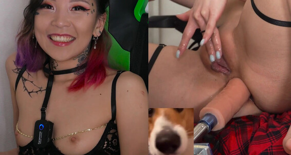 Anal,Asian,Fuck Machine,Wet & Messy,Orgasms aiko moe watching funny vids anal fuck machine ManyVids